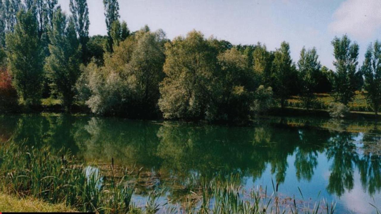 La Decouverte, Jacuzzi, Sauna, Et Terrasse Avec Vue Sur Lac A La Campagne Entre Toulouse Et Auch Catonvielle Exteriör bild