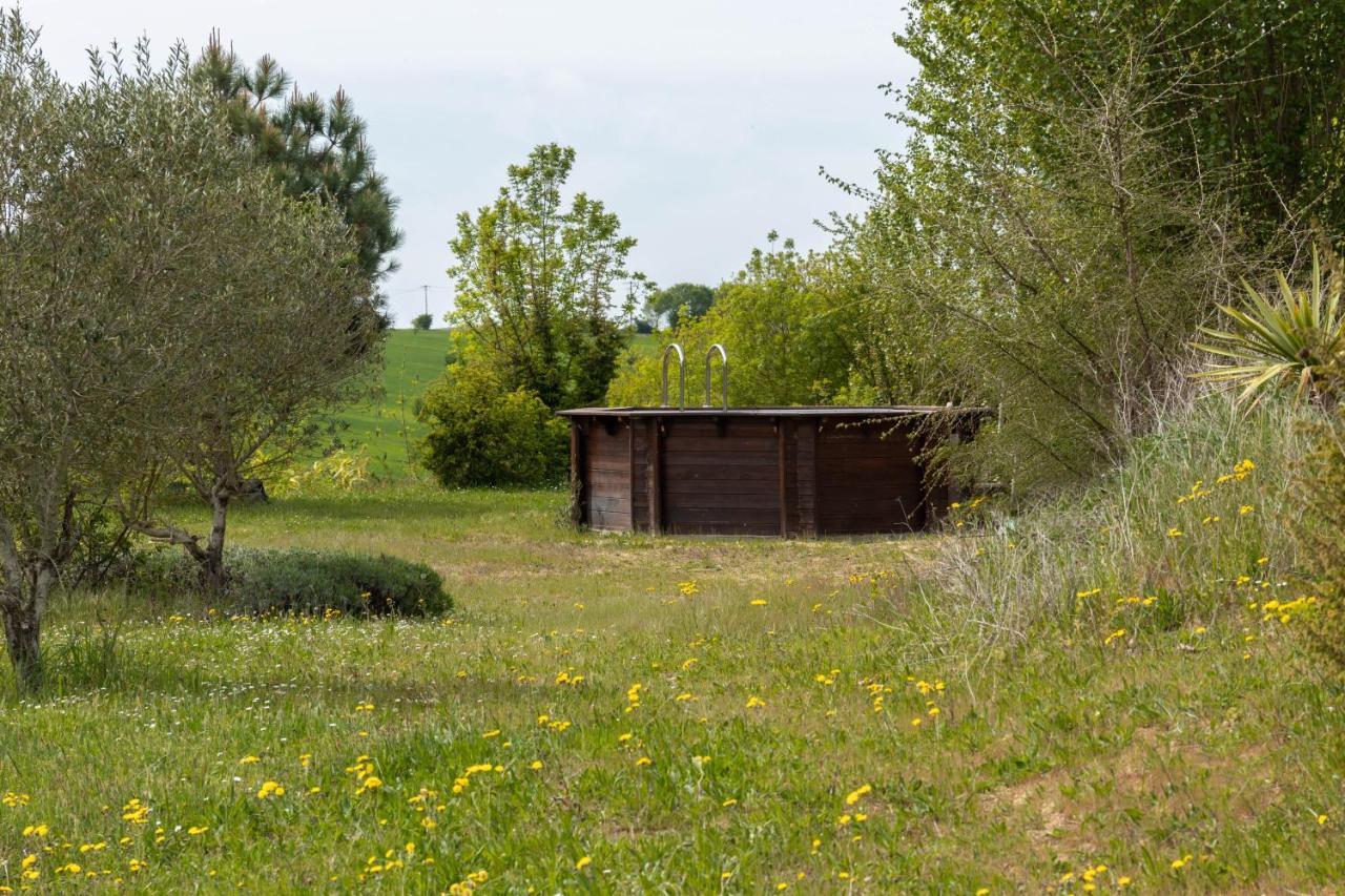 La Decouverte, Jacuzzi, Sauna, Et Terrasse Avec Vue Sur Lac A La Campagne Entre Toulouse Et Auch Catonvielle Exteriör bild