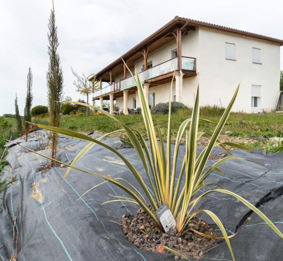 La Decouverte, Jacuzzi, Sauna, Et Terrasse Avec Vue Sur Lac A La Campagne Entre Toulouse Et Auch Catonvielle Exteriör bild